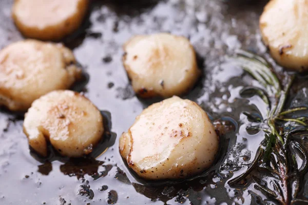 Scallops in pan — Stock Photo, Image