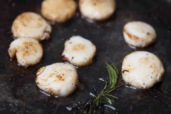 Scallops in pan — Stock Photo, Image