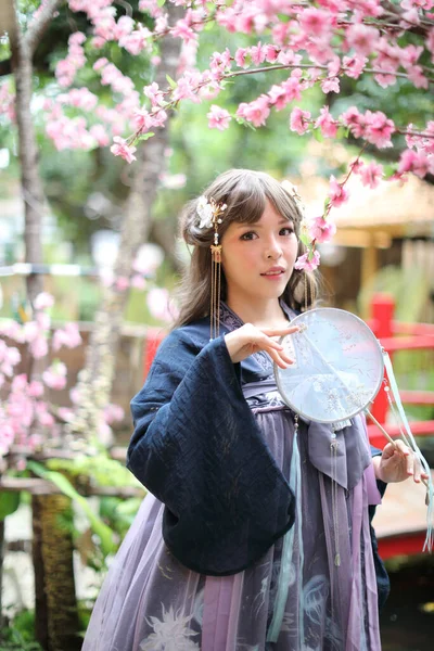 美丽的年轻女子 穿着深蓝色的中国罗莉塔礼服 配上中国花园 — 图库照片