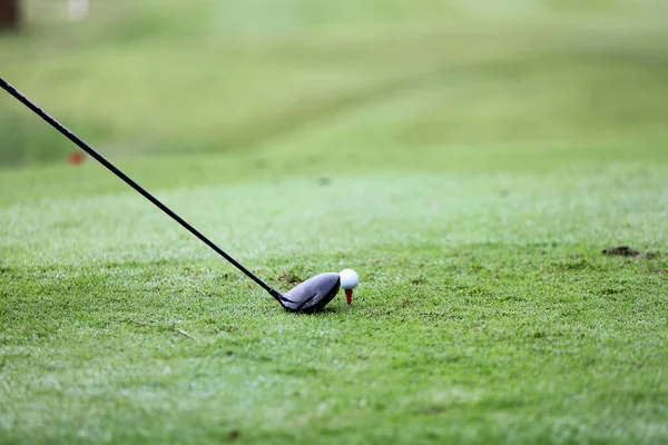 Bola Golfe Grama Verde Pronto Para Ser Atingido Fundo Grama — Fotografia de Stock