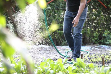 Ev bahçesinde sulama bitkileri olan erkek bacakları