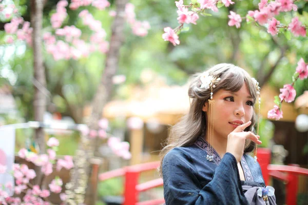 Beautiful Young Woman Dark Blue Chinese Lolita Dress Chinese Garden — Stock Photo, Image