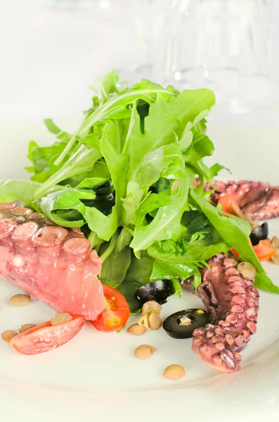 Bir kalamar ile deniz mahsulleri salatası — Stok fotoğraf