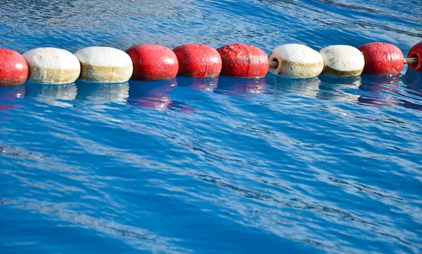 Swimming pool lanes in competition pool