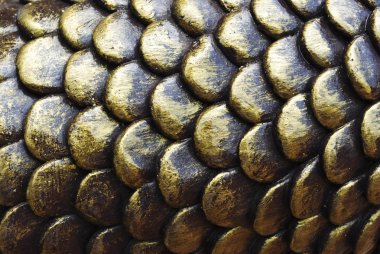 Texture of fish scales clipart