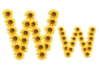 yazı tipi çiçek w