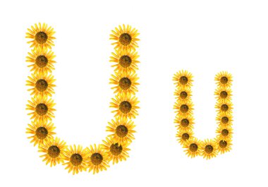 yazı tipi çiçek u