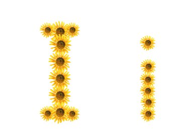 Ben çiçek yazı tipi