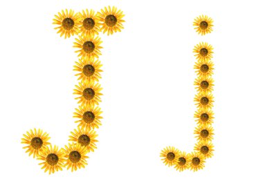yazı tipi çiçek j
