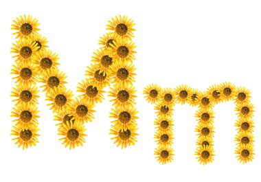 yazı tipi çiçek m