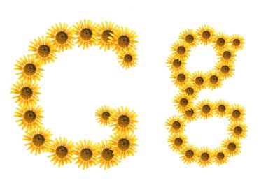 yazı tipi çiçek g