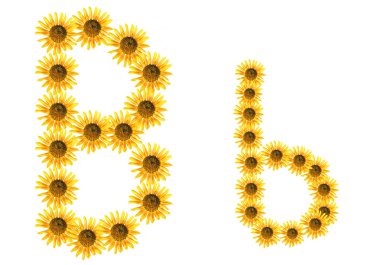 yazı tipi çiçek b