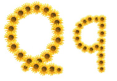 yazı tipi çiçek q