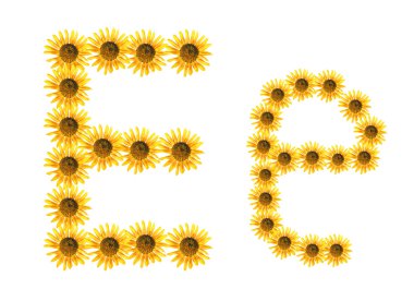 yazı tipi çiçek e