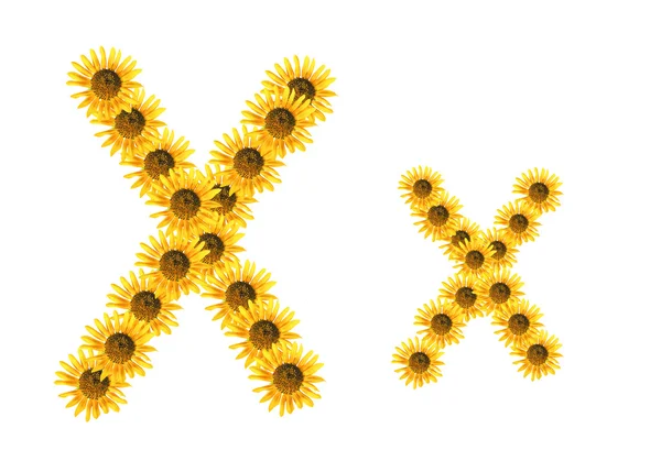 Font flower X — Stock Photo, Image