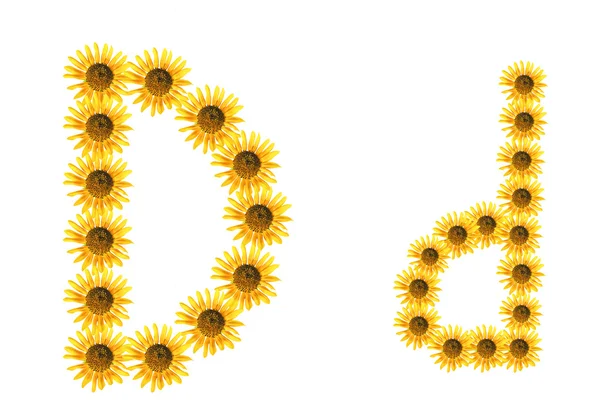 yazı tipi çiçek d