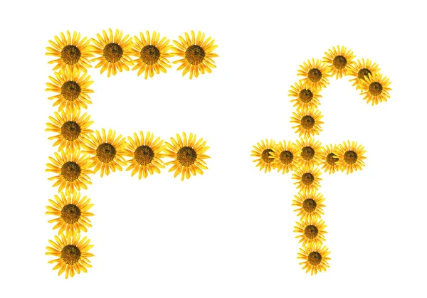 Font flower F — Stock Photo, Image