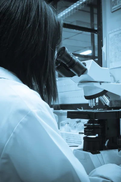 Laboratory Microscope — Stock Photo, Image