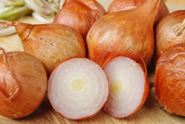 Shallot onion — Stock Photo, Image