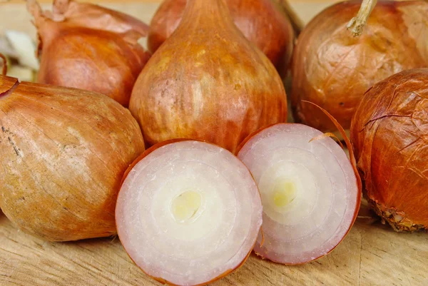 Shallot onion — Stock Photo, Image