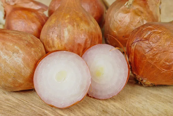 Shallot onion — Stock Photo, Image