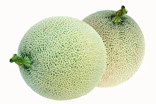 Cantaloupe melon — Stock Photo, Image