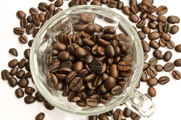 Coffee beans and coffe cup — Stock Photo, Image