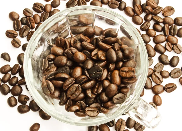 Coffee beans and coffe cup — Stock Photo, Image