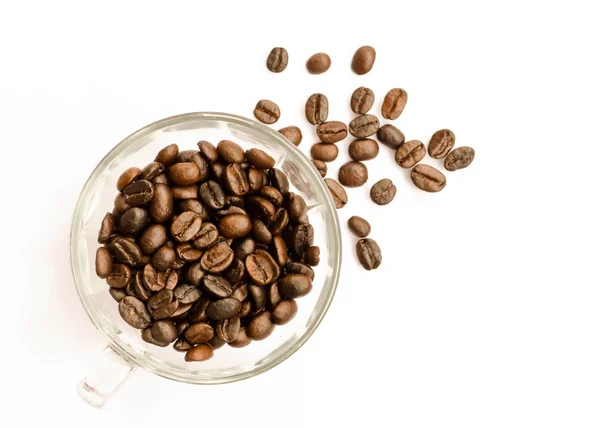 Coffee beans — Stock Photo, Image