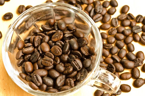 Coffee beans — Stock Photo, Image