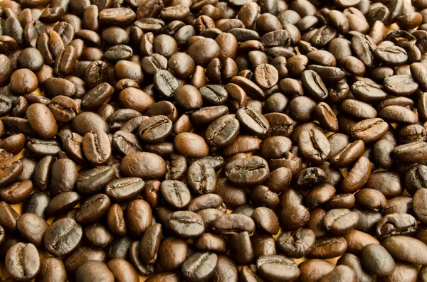 Coffee beans — Stock Photo, Image