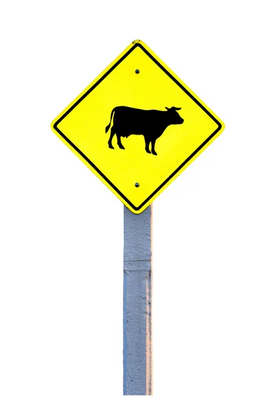 Aviso de vaca — Fotografia de Stock