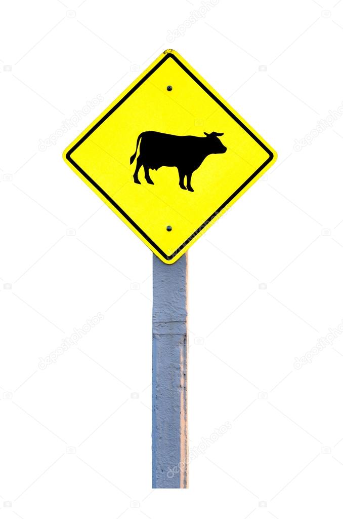 Cow warning sign