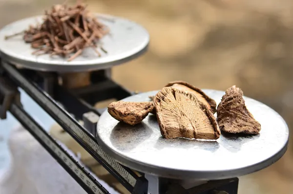 Voorbereiding van thailand geneeskunde — Stockfoto