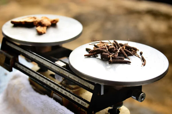 Preparación de hierbas medicinales — Foto de Stock