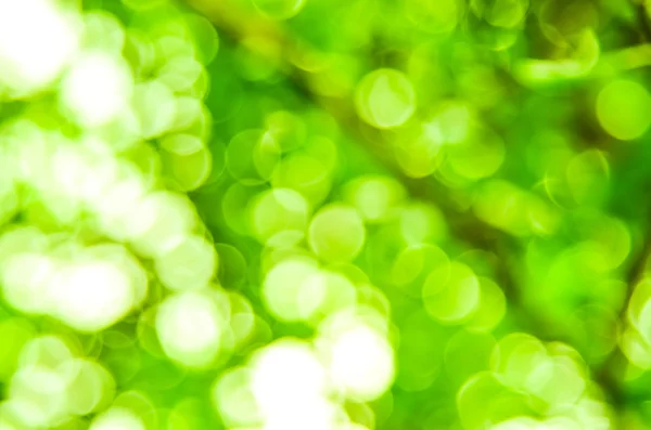 Gröna bokeh — Stockfoto