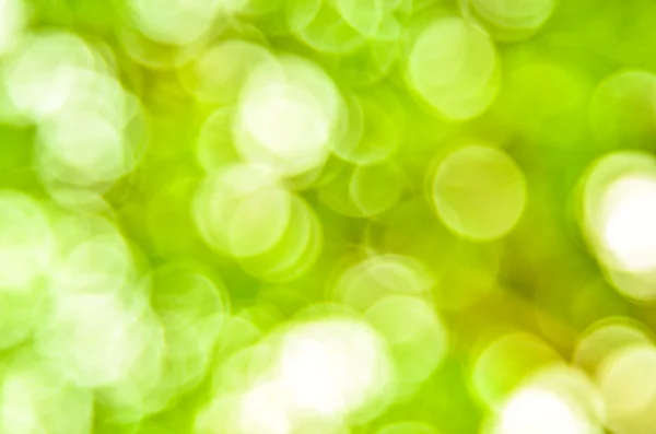 Bokeh verde — Foto Stock