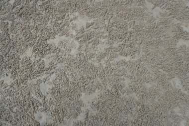 Sand balls or sand bubbler crab on the beach of Ao Manao Beach, Prachuap Khiri Khan Province Thailand.