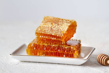 Taraktaki bal arısı, yakın plan, açık arkaplan