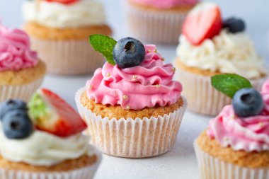 Cupcakes with cream and blueberries and mint close-up