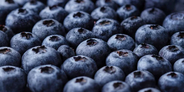 Blueberry Pattern Drops Close Natural Background — Stock Photo, Image