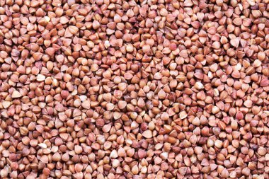 karabuğday arka plan