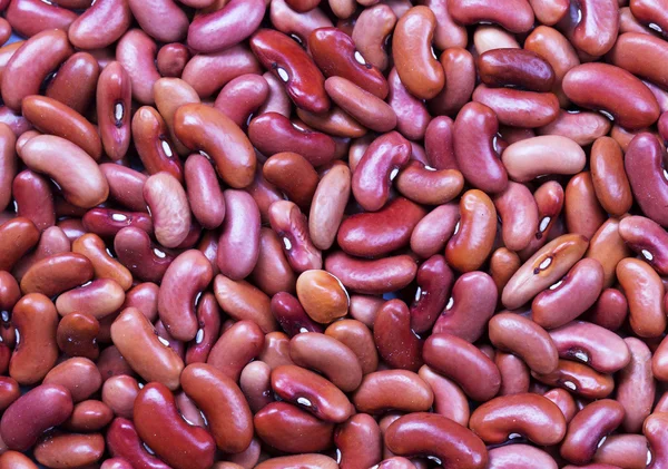 Beans background — Stock Photo, Image