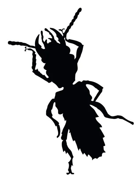 Böcek siluet — Stok Vektör