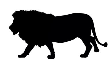 aslan siluet