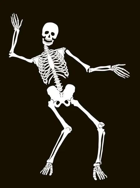 ᐈ Skeleton poses stock vectors, Royalty Free dancing skeleton ...