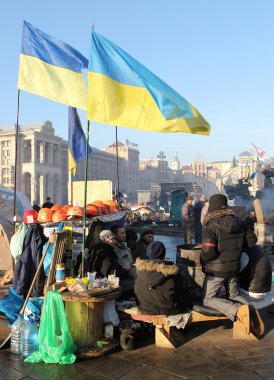 kiev protesto. Ukrayna