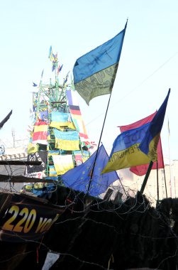kiev protesto. Ukrayna