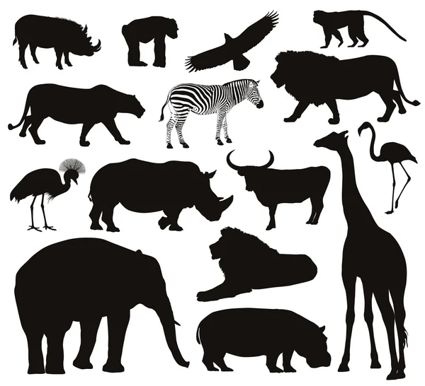 Animals  silhouettes — Stock Vector