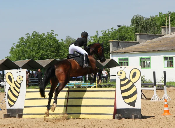 Passeios a cavalo — Fotografia de Stock